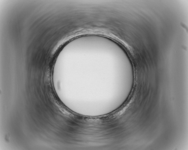 X0000096441498200801241106