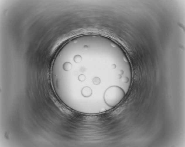 X0000096441499200801241106