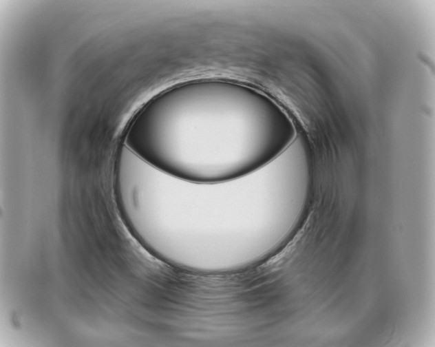X0000096441500200801241106
