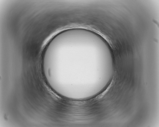 X0000096441502200801241106