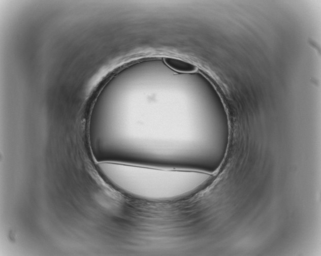 X0000096441503200801241106