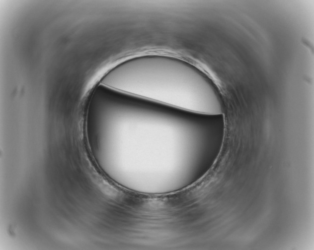 X0000096441504200801241106