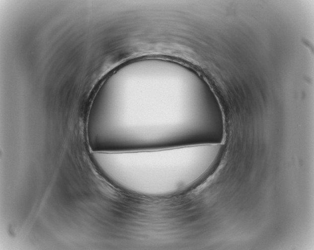 X0000096441505200801241106