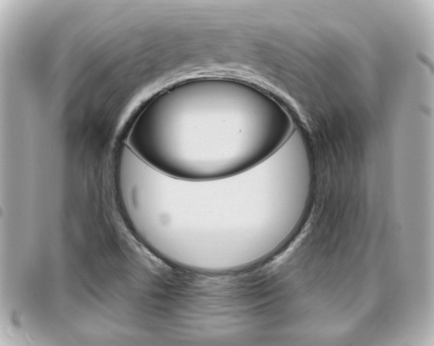 X0000096441506200801241106