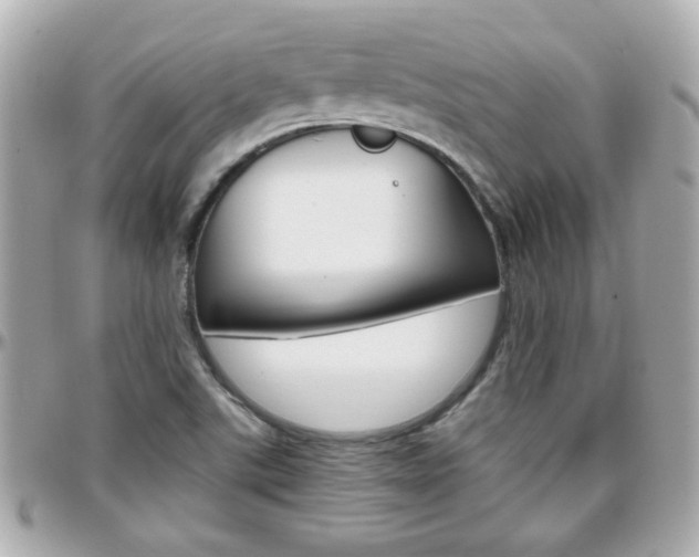 X0000096441507200801241106