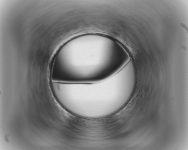 X0000096441508200801241106