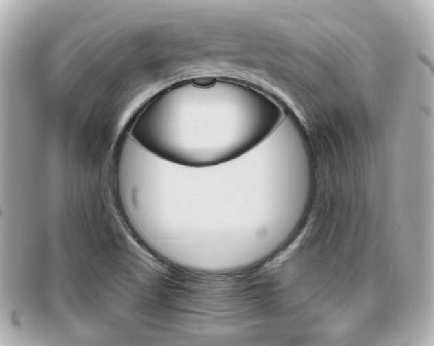 X0000096441509200801241106