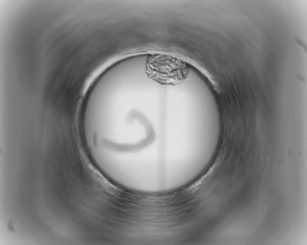 X0000096441510200801241106