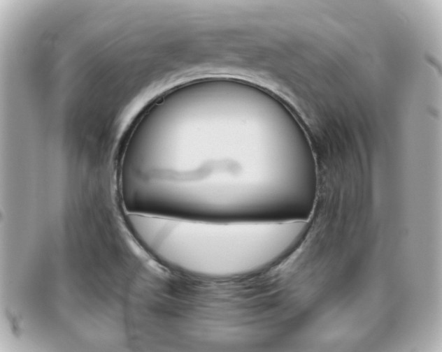 X0000096441511200801241106