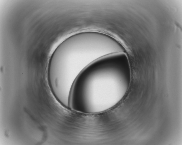 X0000096441512200801241106