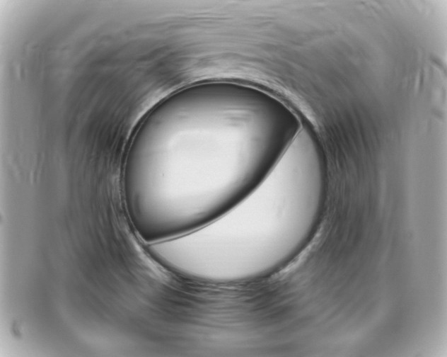 X0000096441513200801241106