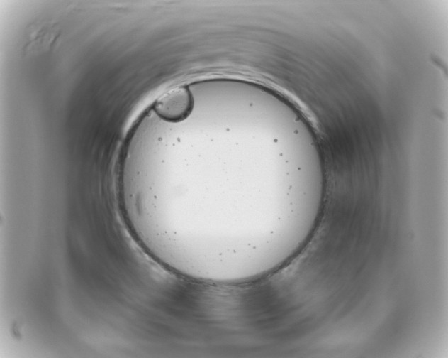 X0000096441514200801241106