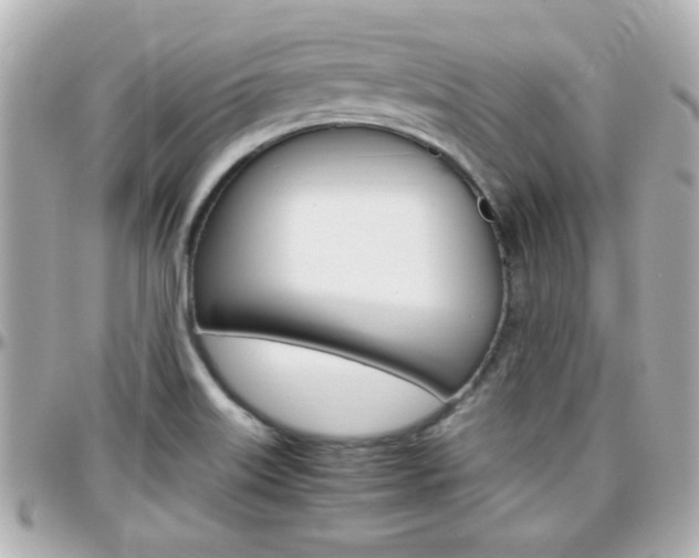 X0000096441515200801241106