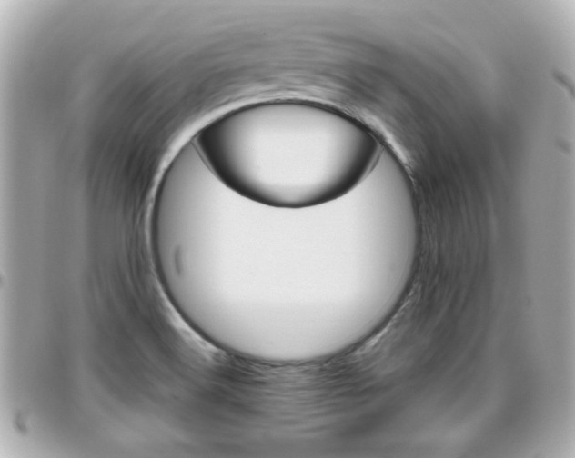X0000096441516200801241106