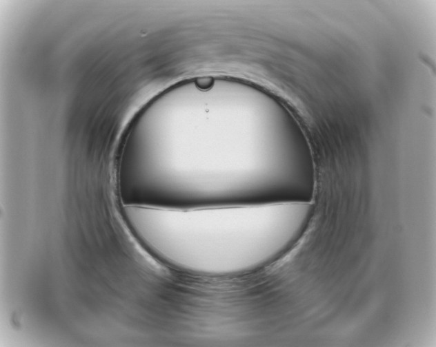 X0000096441517200801241106