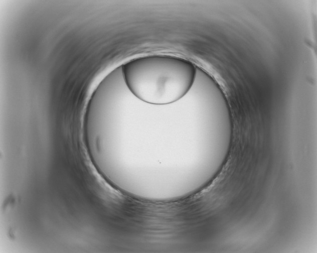X0000096441520200801241106