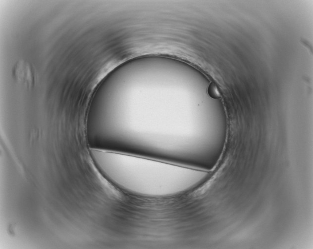 X0000096441521200801241106