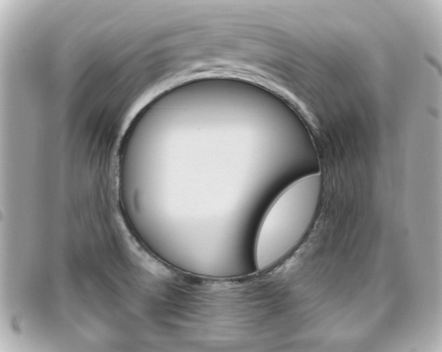 X0000096441522200801241106