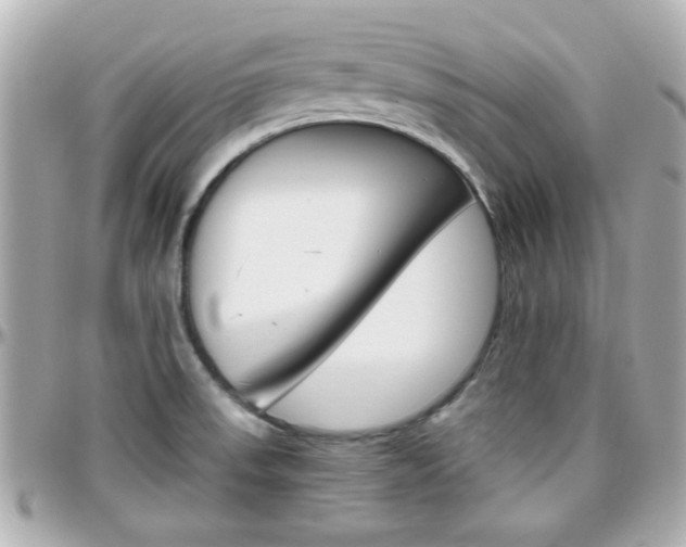 X0000096441523200801241106