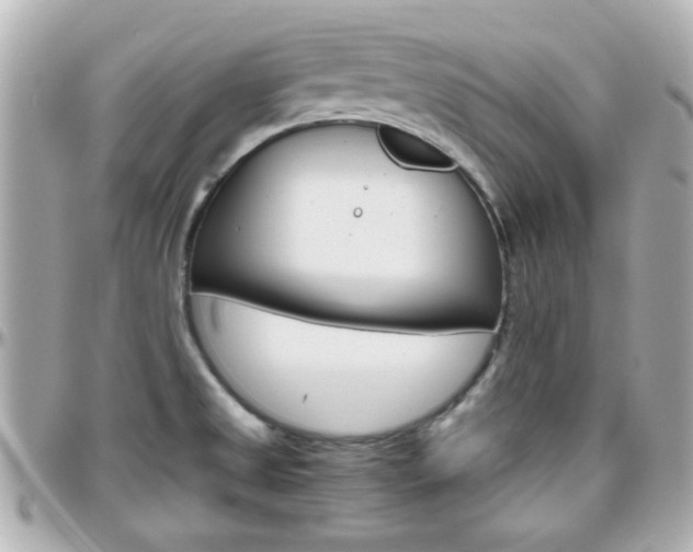 X0000096441525200801241106