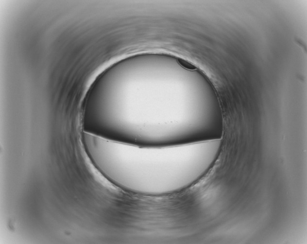 X0000096441526200801241106