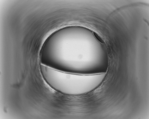 X0000096441527200801241106