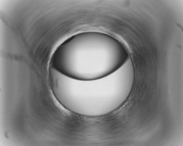 X0000096441528200801241106