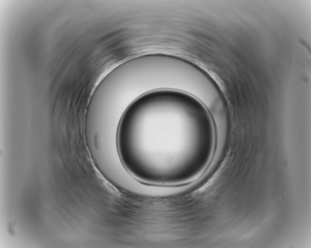 X0000096441529200801241106