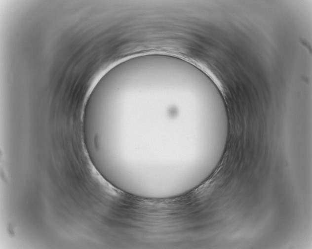 X0000096441532200801241107