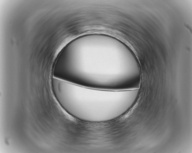 X0000096441533200801241107