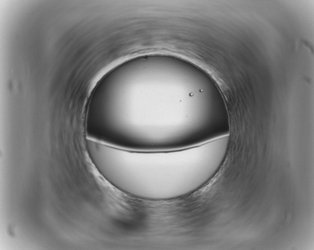 X0000096441534200801241107