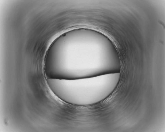 X0000096441535200801241107