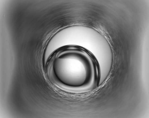 X0000096440001200801241408
