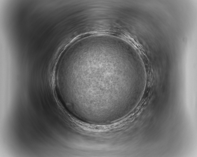 X0000096440002200801241408