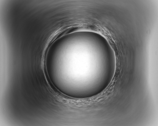 X0000096440003200801241408