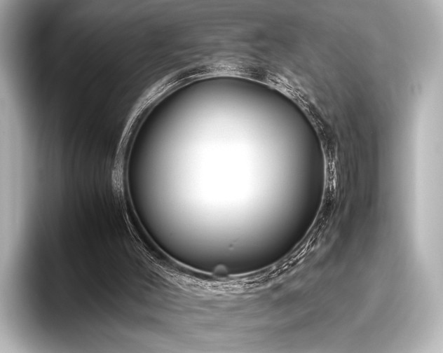 X0000096440004200801241408