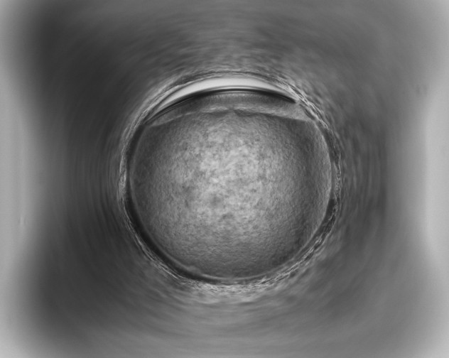 X0000096440005200801241408