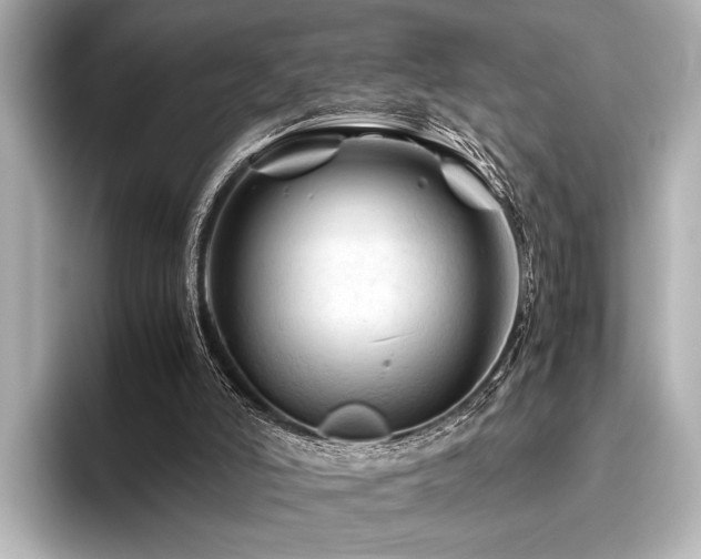 X0000096440006200801241408