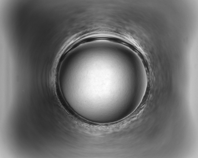 X0000096440007200801241408