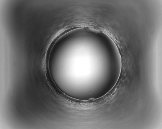 X0000096440008200801241408
