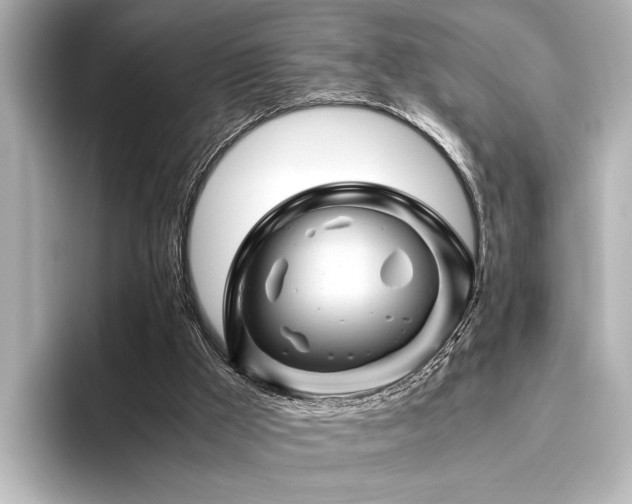 X0000096440009200801241408