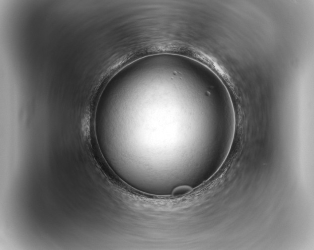 X0000096440010200801241408