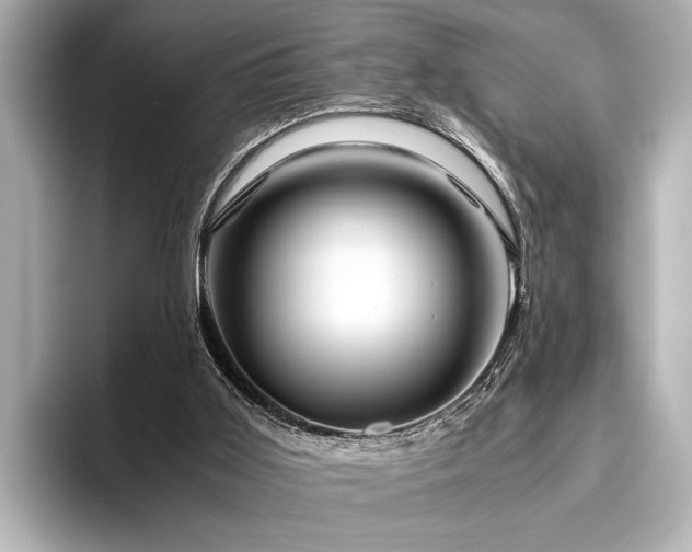 X0000096440011200801241408
