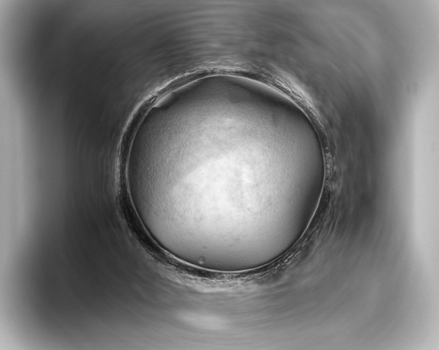 X0000096440012200801241408