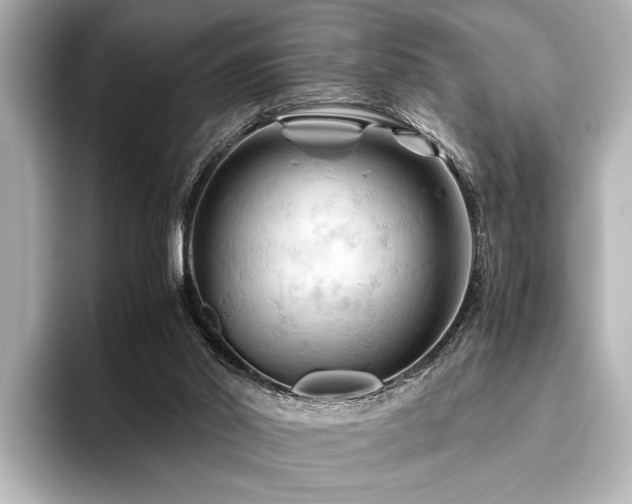 X0000096440014200801241408