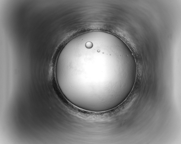 X0000096440016200801241408