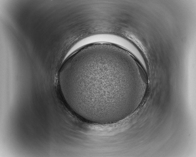 X0000096440017200801241408