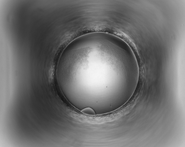 X0000096440018200801241408
