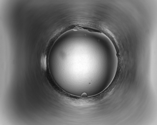 X0000096440020200801241407