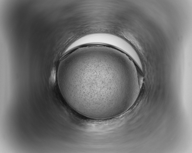 X0000096440021200801241407